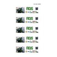 Floralabels Etiquetas de lazo 38x250 mm, 5 por hoja OKIMED26-SX30 Floralabels Etiquetas de lazo 38x250 mm, 5 por hoja OKIMED26