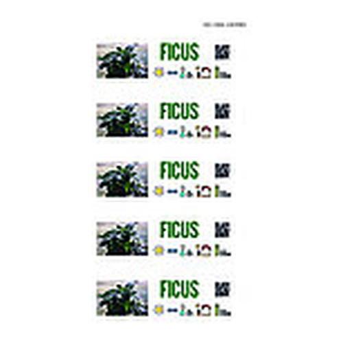 Floralabels Etiquetas de lazo 38x250 mm, 5 por hoja OKIMED26-IR30 Floralabels Etiquetas de lazo 38x250 mm, 5 por hoja OKIMED26