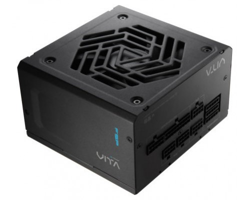 FSP VITA GM 1000W unidad de fuente de alimentación 20+4 pin ATX ATX Negro (Espera 4 dias)