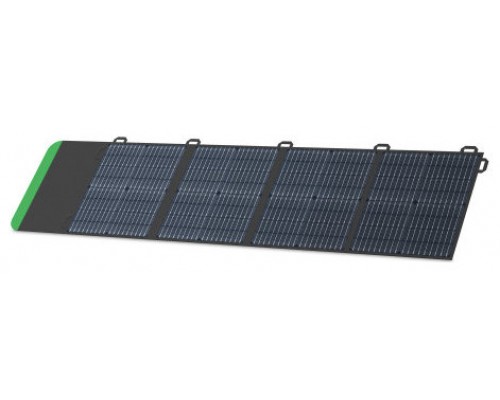 APC PSP100 placa solar 100 W Silicio monocristalino (Espera 4 dias)