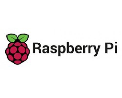 RASPBERRY PI 4 KIT - CAJA / USB 16GB / FUENTE A/C / HDMI / DISIPADOR (RB-KIT-1041) (Espera 4 dias)