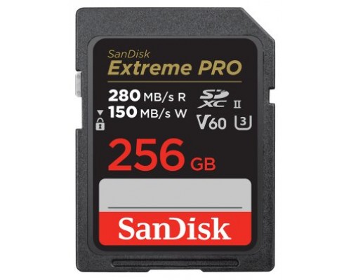 SanDisk SDSDXEP-256G-GN4IN memoria flash 256 GB SDXC UHS-II Clase 10 (Espera 4 dias)