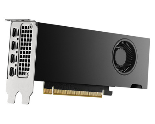 PNY VCNRTX2000ADA-PL tarjeta gr&aacute;fica NVIDIA RTX 2000 Ada 16 GB GDDR6 (Espera 4 dias)